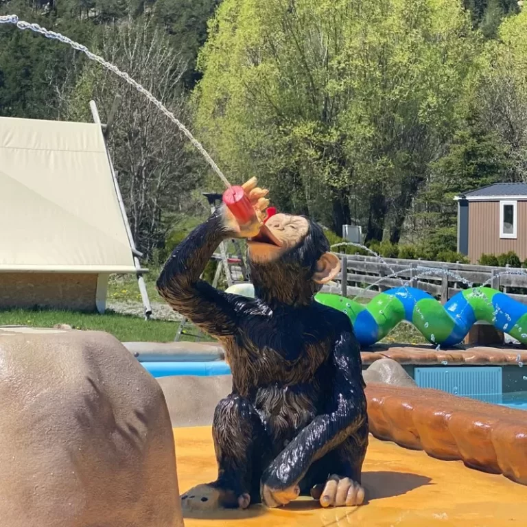 kinderzwembad producten