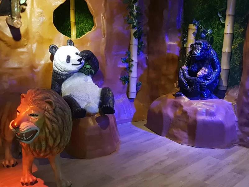 kinderzwembad producten